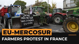 Manure tractors and anger Farmers in France protest EUMercosur deal  AJshorts [upl. by Isabelita]