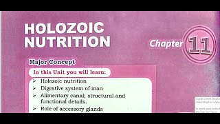 holozoic nutrition part 3 [upl. by Winou]