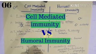 Cell Mediated Immunity vs Humoral Immunity  difference between cell mediated and humoral immunity [upl. by Akihdar]