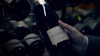 Discover Collection 242 the freedom of Louis Roederer style [upl. by Colin]