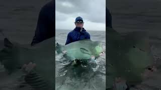 Thigh slapping series fishing freshwaterfish fishingtechniques fishingtools [upl. by Colt511]