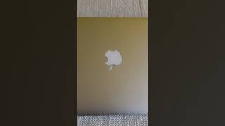 Il Mio Vecchio MacBook [upl. by Mitinger929]