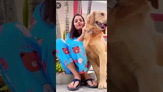 Snap mat banao najar lag jaygi 🧿 goldenretriever dog dogowner doglover dogcomedy [upl. by Shapiro]