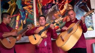 Bamboleo performed by Trio Los Amigos de NM [upl. by Lihcox]