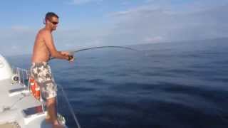 Shark Attack Fishermans Big Tuna  Crazy shark Fishing Video [upl. by Sicnarf]