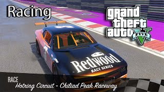 Gta 5 car raching raching bd bdgamer gaming md studio mdg gaminggame gta5 gta gameplay [upl. by Einnim]