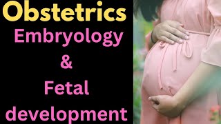 Embryology and fetal developmentobstetrics medical nursing [upl. by Marcelia131]