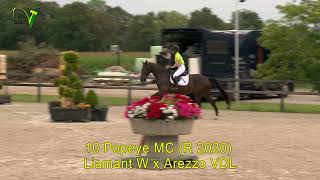 Sportpaardenveiling Dronten  10  Popeye MC G  Liamant W x Arezzo VDL [upl. by Adnawahs]