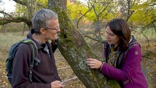 Flechten – welche Rolle sie im Garten spielen  MDR [upl. by Eniamej]