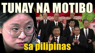 Ang Tunay na Motibo sa Likod ng Investment ng China sa Pilipinas [upl. by Anerev]