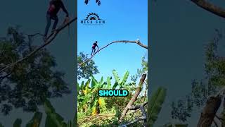 Man Uses Chainsaw To Cut Branch While Walking On It [upl. by Siegel]