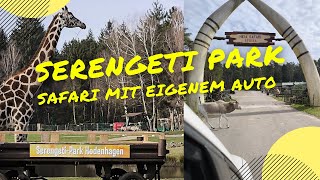 SerengetiPark in Hodenhagen  Tier und Freizeitpark [upl. by Tartaglia995]