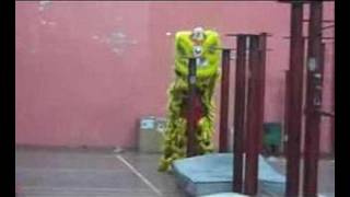 Lion Dance Back Flip Behind Scenes World Titles Genting [upl. by Heins]