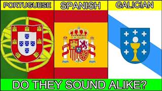 GALICIAN vs PORUTUGESE vs SPANISH  Verbale Mondo [upl. by Bunting187]