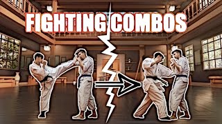 Kyokushin Karate Fighting Combinations 1 advanced [upl. by Annauqahs]