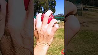 How to Bowl LEGSPIN Techniques Explained shorts youtubeshorts cricket [upl. by Latin]