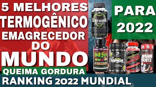 5 MELHORES TERMOGÊNICOS EMAGRECEDORES DO MUNDO PARA 2022 QUEIMA GORDURA SUPLEMENTOS EMAGRECER [upl. by Nasah]