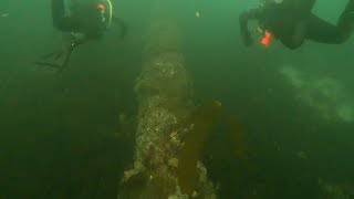 Diving The Pipe At Breakwater Part 3 Now With Metridium [upl. by Mariano]