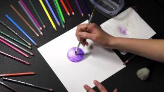 COLORED PENCIL How to Use Water Soluble Colored Pencils Watercolor Pencils [upl. by Annayi388]