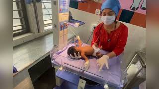 Neonatal reflexes  newborn examination  paediatrics  the baby doctor reflexes neonatalcare [upl. by Eissert546]