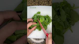 Kale and Spinach Smoothie Your Psoriasis Diet [upl. by Jowett709]