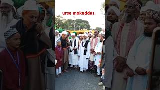 new naat sharif trending islamicsong naat naatsharif naatstatus naats shorts viralshort [upl. by Nawud]