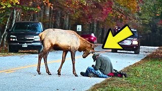 Homeless Man Follows Injured Reindeer Breaks Down When He Sees THIS [upl. by Nicki]