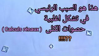 les cristaux doxalates de calcium و علاقتها بتشكل حصوات الكلى  calculs rénaux [upl. by Oakie158]