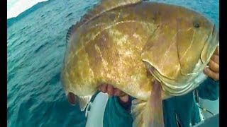 grouper ΣΦΥΡΙΔΑ ΣΥΡΤΗΝ6 18300kg sotos fishingwmv [upl. by Dutchman742]