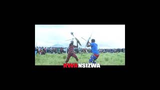 Zulu warriors  Bhejane vs Sangoma [upl. by Ahsiyt]