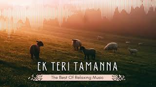 Ek Teri Tamanna  Full Song  aadi65k  SlowedReverb  High quality New song 2024 [upl. by Alyworth]