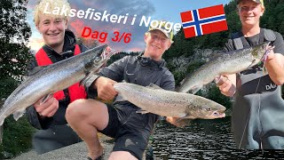 Laksefiskeri i Norge  dag 36 [upl. by Hedgcock]