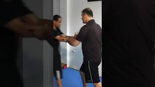 One Inch Punch  Training Method [upl. by Savvas]