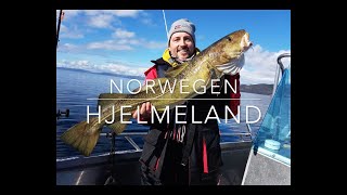 ANGELN IN SÜDNORWEGEN 1 HJELMELAND 2018 NORWEGEN OMBO  FISHING IN SOUTHNORWAY NORWAY URLAUB [upl. by Adley]