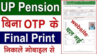 SSPY final print kaise nikale  UP pension final print problem  pension ka final print kaise nikale [upl. by Alleram]