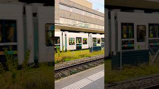 Wallisellen Train Station Zurich 🇨🇭travel ytshorts abba [upl. by Libbey577]