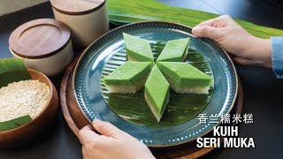 RECIPE  Kuih Seri Muka 香兰糯米糕 Kueh Salat [upl. by Sugna586]