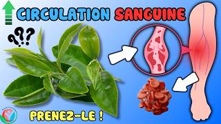 Mauvaise Circulation Sanguine Dans Les Jambes  Essayez Ces 5 Aliments Naturels  Allez Santé [upl. by Emily]