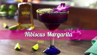 How to Make the Best Hibiscus Margarita [upl. by Yonatan]