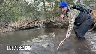 Winter Fly Fishing with Tips [upl. by Rossen]