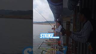 Sensasi Strike Ikan Nila Waduk Wadaslintang [upl. by Pages]