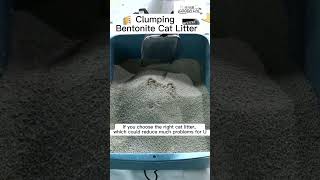 Fast clumping bentonite cat litter [upl. by Liahus814]