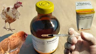 B Complex injection for Chickens  Dr ARSHAD [upl. by Yentuoc]