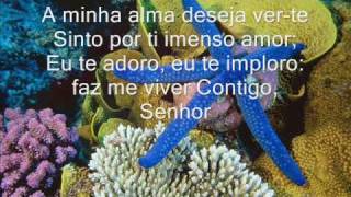 Hino CCB 9 A minha Alma deseja ver te Letra [upl. by Reese]