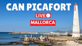 🔴 BIG ANNOUNCEMENT in LIVE in Can Picafort Mallorca Majorca  14 April 2024 [upl. by Nnylyam]