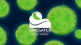 Empowering Future Generations Unleashing the Potential of Plantbased Omega3  Solutex [upl. by Reizarf]