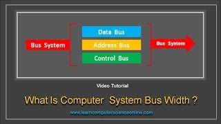 What Is Computer Bus Width   Computer System Bus Architecture  Computer Science [upl. by Dasya955]