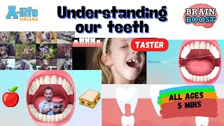 Understanding Our Teeth for Kids Ages 37 Taster [upl. by Jacobina]