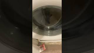 ELECTROLUX 427 washing a comforter with pillows pt 1 [upl. by Mount]