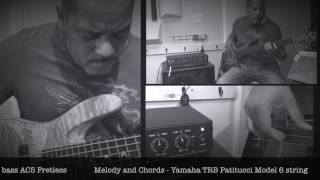 Trickfish Amplification Bullhead 5K  Ernest Tibbs Demo [upl. by Aynotak]